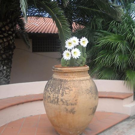 Hotel Villaggio Cala Di Volpe カーポ・ヴァチカーノ エクステリア 写真