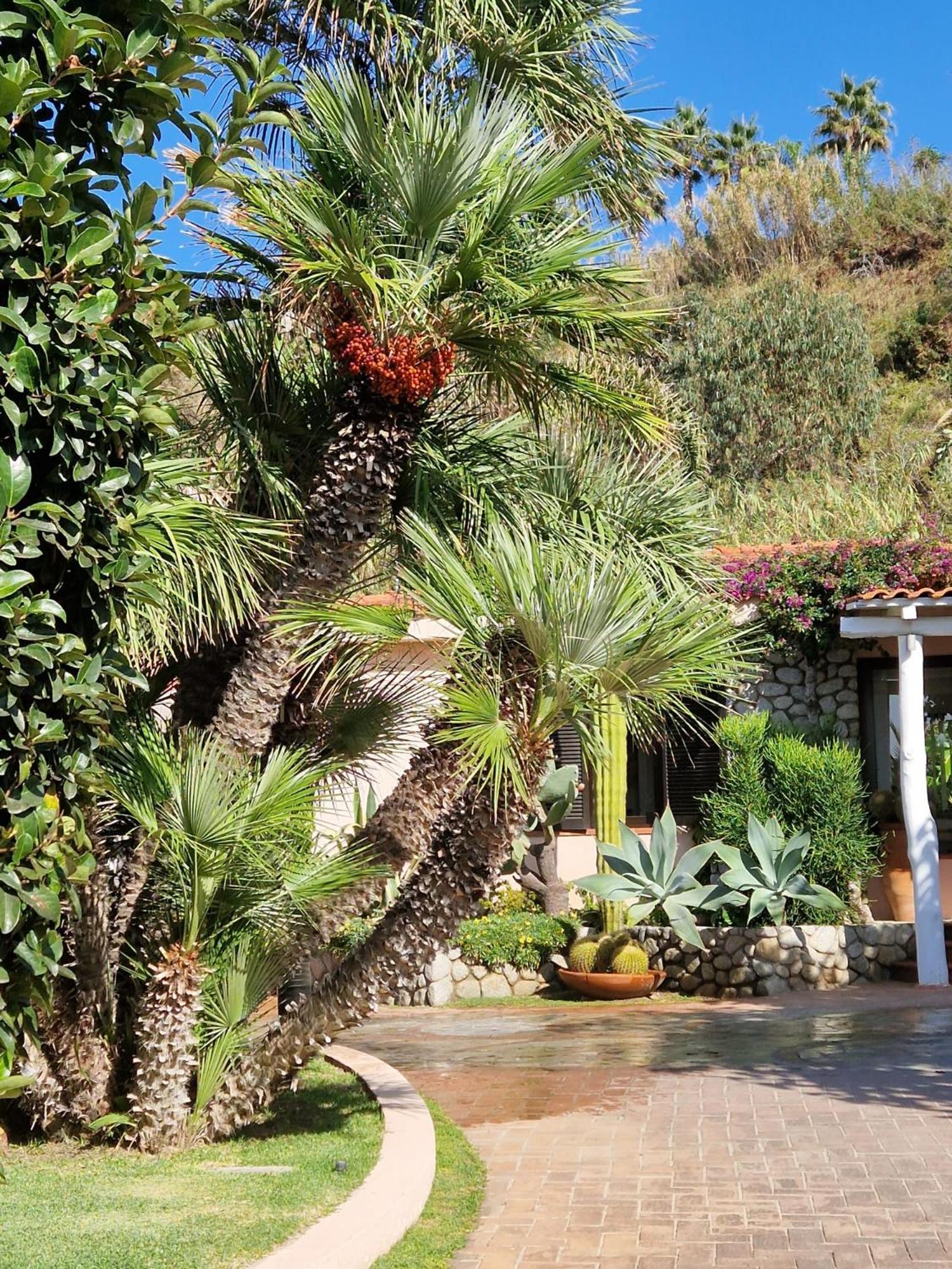 Hotel Villaggio Cala Di Volpe カーポ・ヴァチカーノ エクステリア 写真