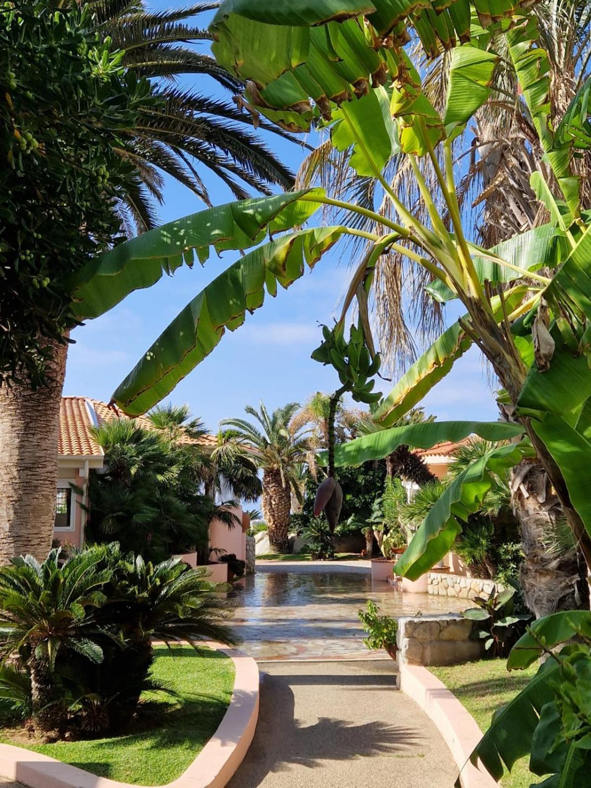 Hotel Villaggio Cala Di Volpe カーポ・ヴァチカーノ エクステリア 写真