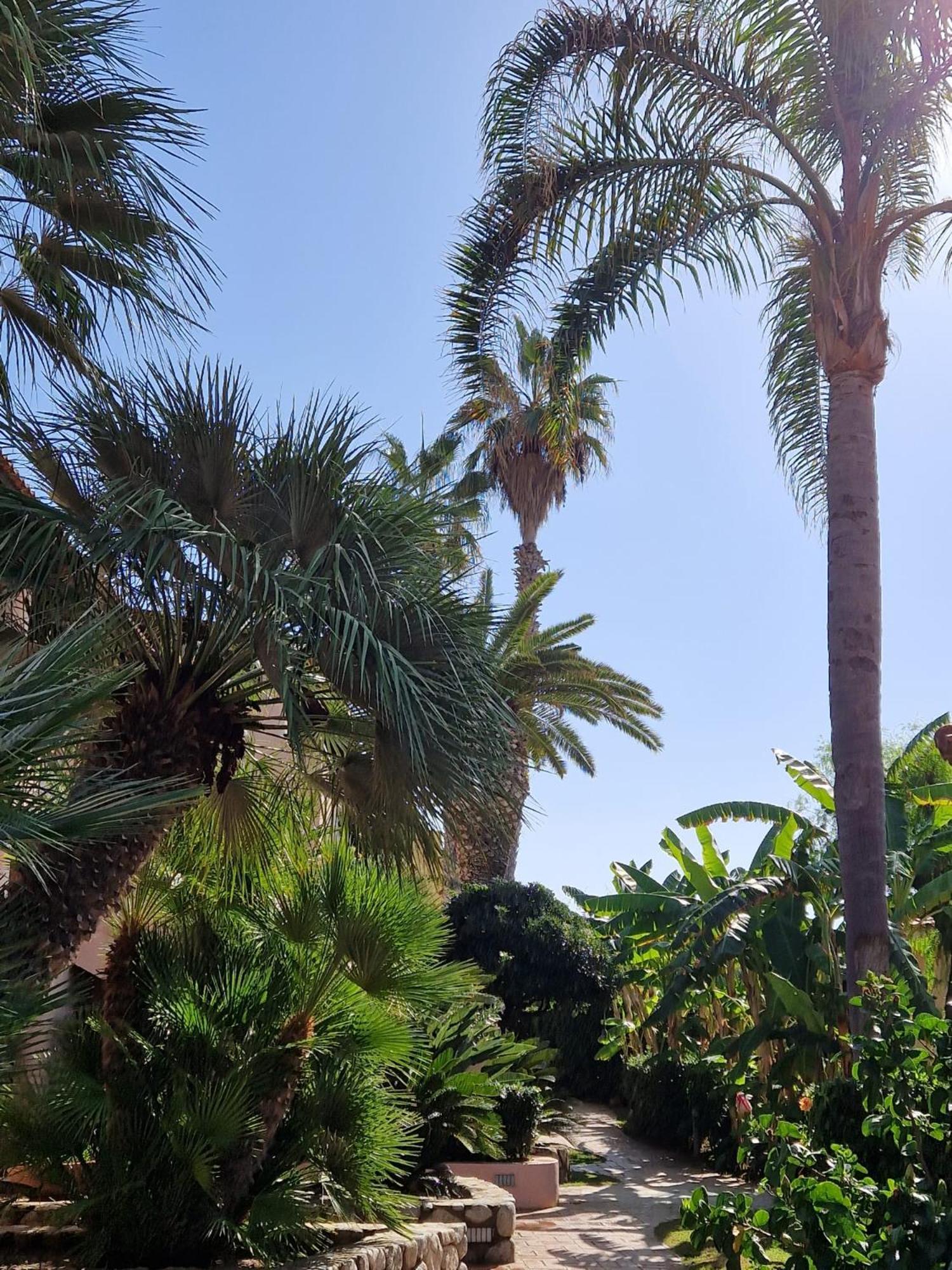 Hotel Villaggio Cala Di Volpe カーポ・ヴァチカーノ エクステリア 写真
